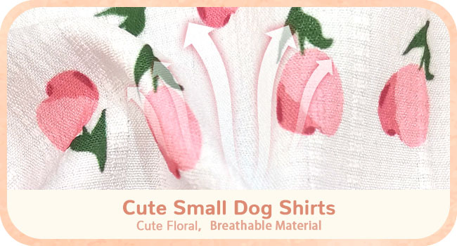 dog overalls