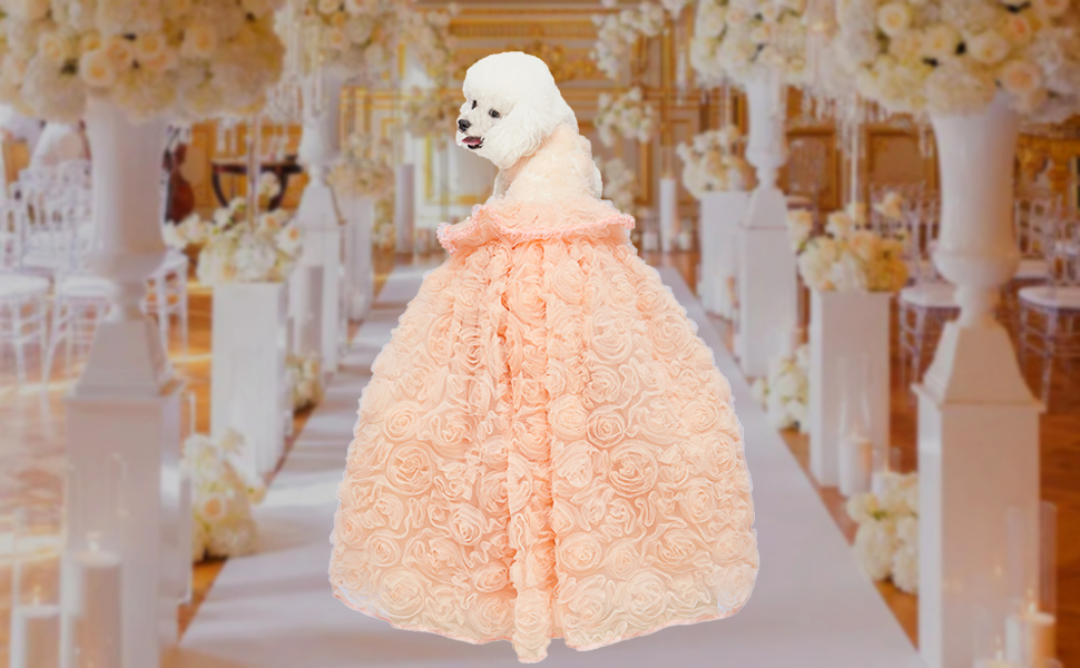 dog wedding dress