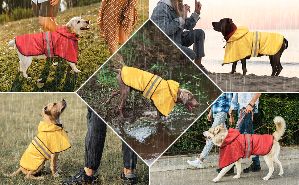 dog rain coat