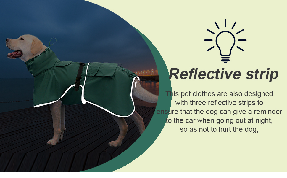 Dog Raincoat Green05