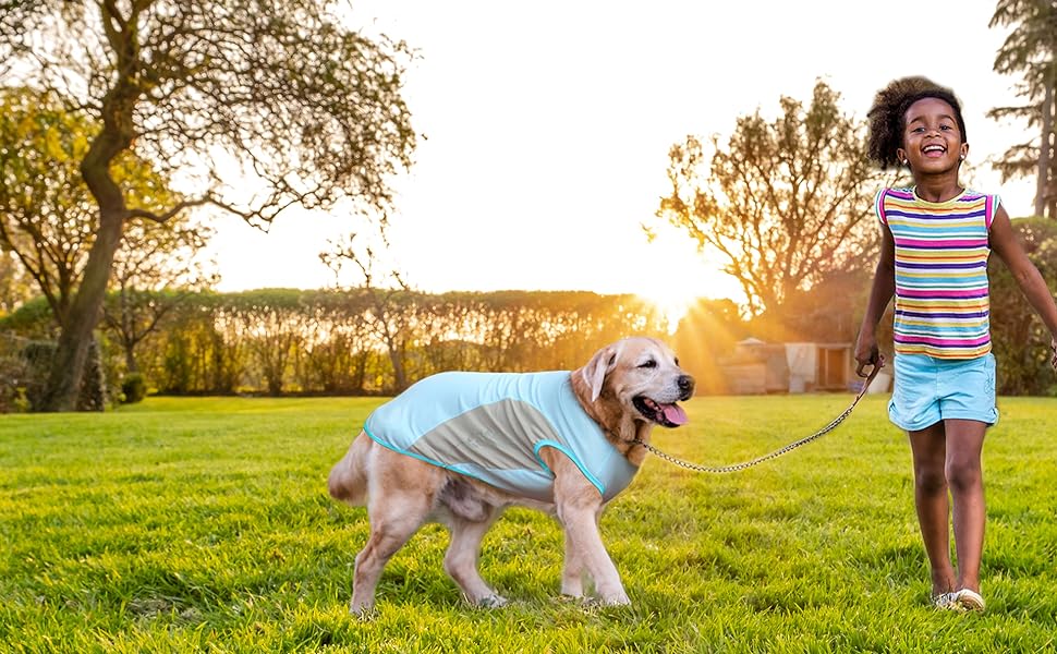 Dog cooling shirts 4