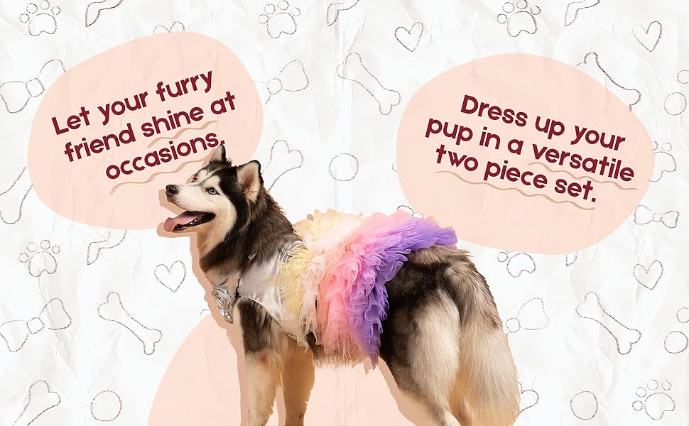 Let your furry friend shine at occasions, dress up your pup in a versitile two piece set