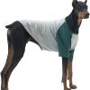 Dog Shirt for Small and Large Dogs Raglan Cotton T-Shirts Soft Breathable Dog Shirts pet Clothes Gray Series (Large, Gray/Mint)