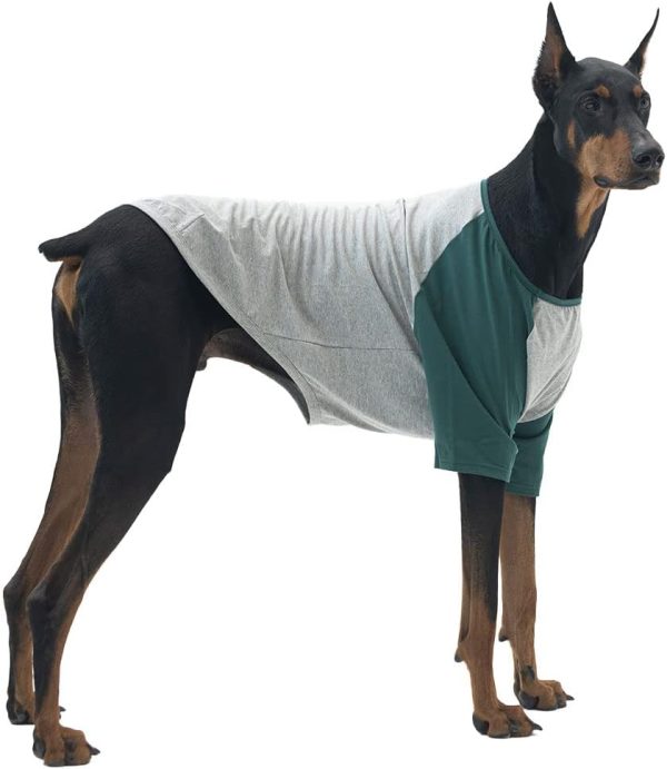 Dog Shirt for Small and Large Dogs Raglan Cotton T-Shirts Soft Breathable Dog Shirts pet Clothes Gray Series (Large, Gray/Mint)