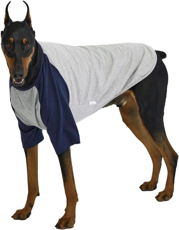 Dog Shirt for Small and Large Dogs Raglan Cotton T-Shirts Soft Breathable Dog Shirts pet Clothes Gray Series (Large, Gray/Mint)