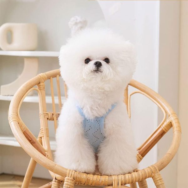 51DZvGsLP3L._AC_SL1001 Dog Shirt Cat Shirt Pet Vest Dog T-Shirts Soft Breathable Dog Tank Top Sleeveless Vest Dog Tee Shirt for Small Dogs