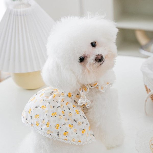 Floral Dress Pet Dog Clothes Cat Fresh Hollow Clothing Dogs Small Chihuahua Sweet Summer White Breathable Girl Boy Chihuahua