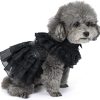 51SQZZkgwRL._AC_SL1000 Pet Dog Cat Wednesday Dress Addams Costume Cosplay Cute Puppy Kitten Black Coat Clothes with Belt Halloween Party Dress up Pretend Play for Small Medium Dogs
