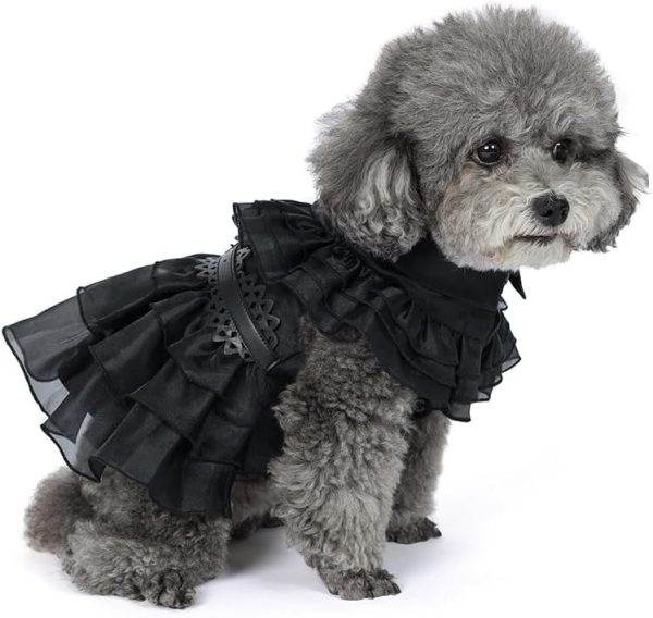 51SQZZkgwRL._AC_SL1000 Pet Dog Cat Wednesday Dress Addams Costume Cosplay Cute Puppy Kitten Black Coat Clothes with Belt Halloween Party Dress up Pretend Play for Small Medium Dogs
