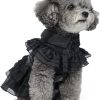 51SpzLiVeOL._AC_SL1000 Pet Dog Cat Wednesday Dress Addams Costume Cosplay Cute Puppy Kitten Black Coat Clothes with Belt Halloween Party Dress up Pretend Play for Small Medium Dogs
