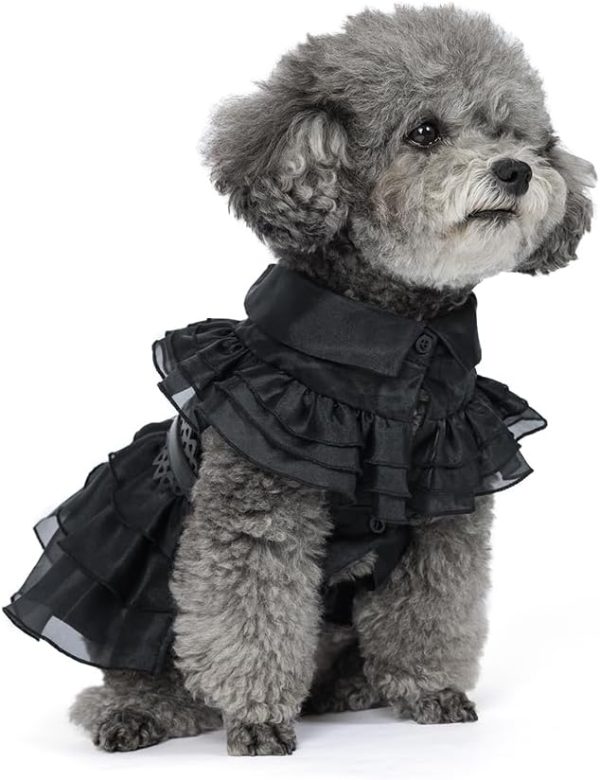 51SpzLiVeOL._AC_SL1000 Pet Dog Cat Wednesday Dress Addams Costume Cosplay Cute Puppy Kitten Black Coat Clothes with Belt Halloween Party Dress up Pretend Play for Small Medium Dogs