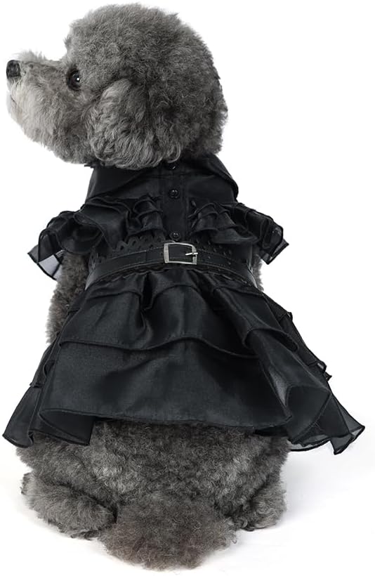 51ZEuDz8lCL._AC_SL1000 Pet Dog Cat Wednesday Dress Addams Costume Cosplay Cute Puppy Kitten Black Coat Clothes with Belt Halloween Party Dress up Pretend Play for Small Medium Dogs