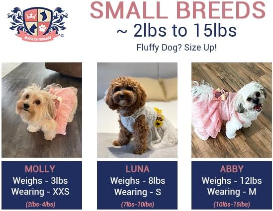 Navy Lace Dog Dress, Navy and Dusty Blue Floral Wedding Dog Dress, Dog Flower Girl Dress, The Aquanetta Wedding Dog Dress, Dog Clothes (X-Small (3-6 lbs))