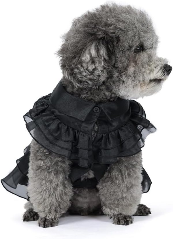 51aEdrkL4hL._AC_SL1000 Pet Dog Cat Wednesday Dress Addams Costume Cosplay Cute Puppy Kitten Black Coat Clothes with Belt Halloween Party Dress up Pretend Play for Small Medium Dogs