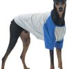 Dog Shirt for Small and Large Dogs Raglan Cotton T-Shirts Soft Breathable Dog Shirts pet Clothes Gray Series (Large, Gray/Mint)