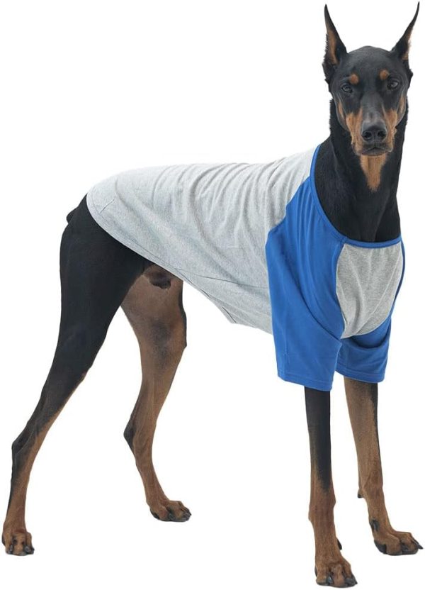 Dog Shirt for Small and Large Dogs Raglan Cotton T-Shirts Soft Breathable Dog Shirts pet Clothes Gray Series (Large, Gray/Mint)