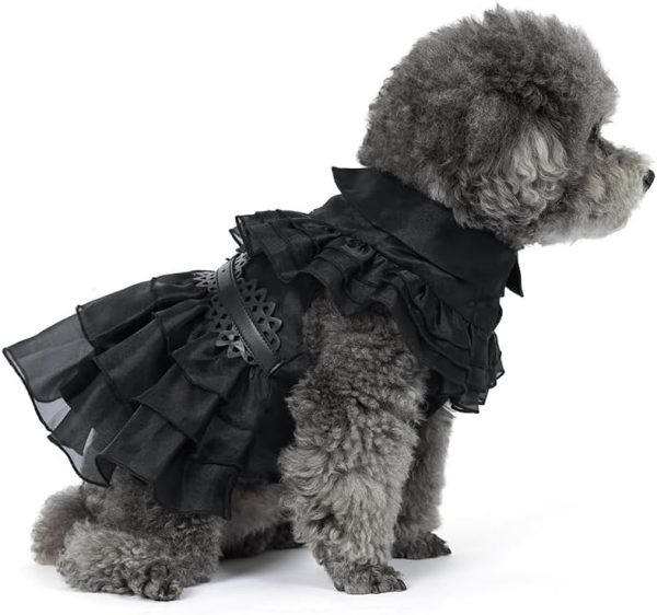 51y5dKt6L4L._AC_SL1000 Pet Dog Cat Wednesday Dress Addams Costume Cosplay Cute Puppy Kitten Black Coat Clothes with Belt Halloween Party Dress up Pretend Play for Small Medium Dogs