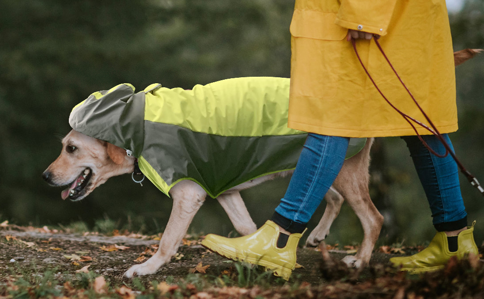 Dog Waterproof Jacket