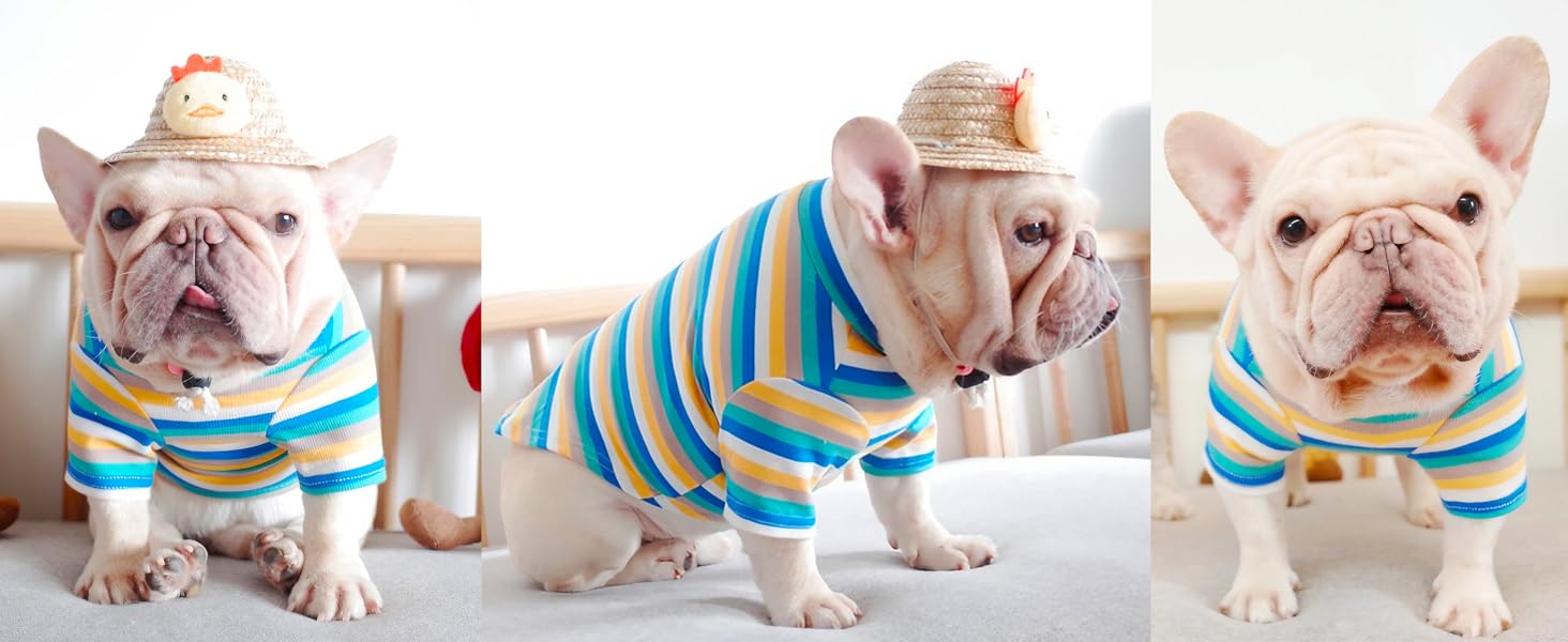 dog shirts for small dogs girl