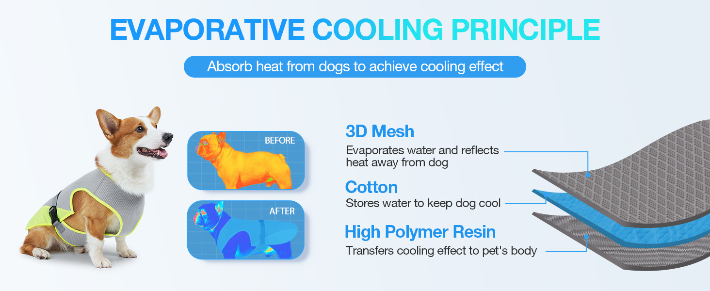 cooling vest