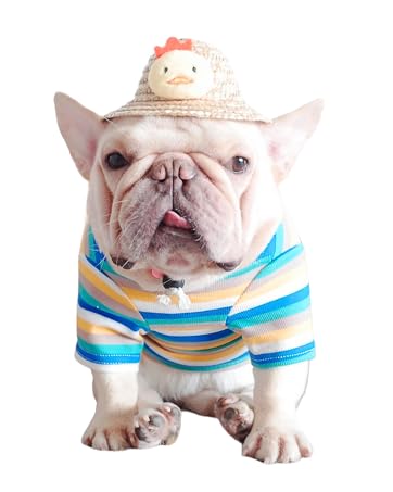 dogshirt