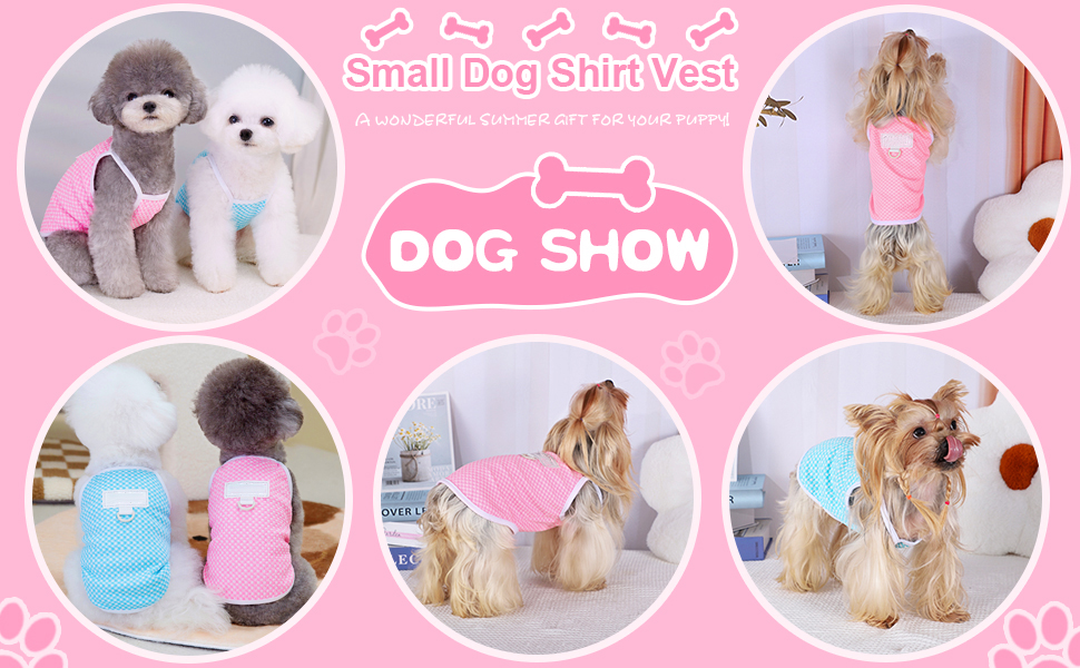 Dog Clothes