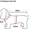 Dog Clothes Summer Dog Dress Cute Pet Clothing Cat Yorkshire Shih Tzu Poodle Schnauzer Pet Clothes Costumes Suitable for Small, Medium and Large Dogs Or Cats Halloween