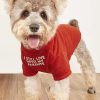 Cute Dog Clothes,Dog T Shirt for Medium Dogs.Dog Clothes for Small Dogs Girl Boy,Puppy.Breathable Soft Dog Costume for Pet Dogs Cats, Pet Pullover Jumper, Cat Clothes (L-(10~17lb), Chest~18", Khaki)