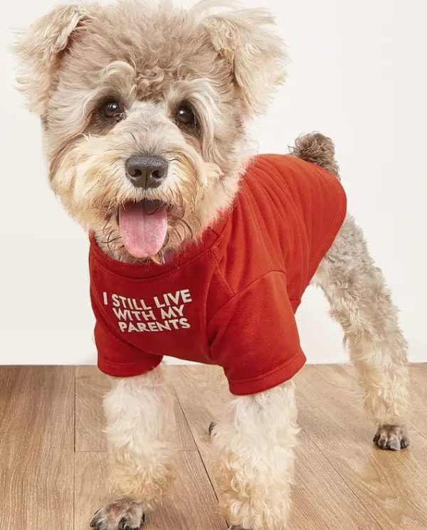 Cute Dog Clothes,Dog T Shirt for Medium Dogs.Dog Clothes for Small Dogs Girl Boy,Puppy.Breathable Soft Dog Costume for Pet Dogs Cats, Pet Pullover Jumper, Cat Clothes (L-(10~17lb), Chest~18", Khaki)