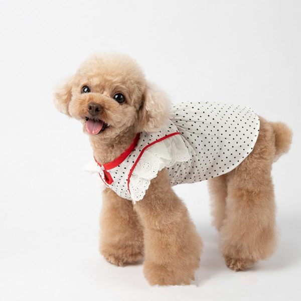 Dog Clothes Summer Dog Dress Cute Dots Pet Skirt Cat Yorkshire Chihuahua Puppy Doggy Costume Small Dog Clothes Pet Clothing Skirt Dogs Or Cats Halloween
