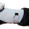 616SCQY7OCL._AC_SL1500_4af748ea-4f96-4da5-b66c-22fc663d5b0c Dog Anxiety Vest, Comfort Dog Anxiety Relief Coat, Breathable Dog Calming Vest for Thunderstorm, Travel, Fireworks, Vet Visits(Dog Calming Vest Light Grey Blue S)