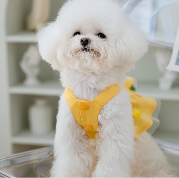 Dog Dresses Yellow Pineapple Small Puppy Dress Spring Summer Girls Lightweight Pet dresses