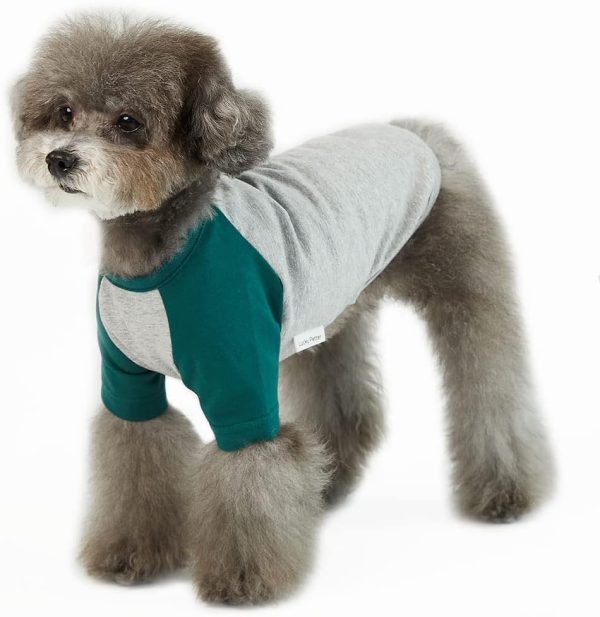 Dog Shirt for Small and Large Dogs Raglan Cotton T-Shirts Soft Breathable Dog Shirts pet Clothes Gray Series (Large, Gray/Mint)
