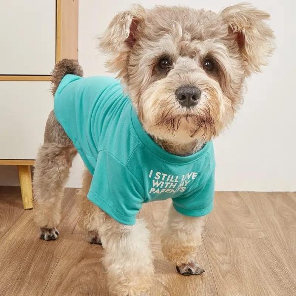 Cute Dog Clothes,Dog T Shirt for Medium Dogs.Dog Clothes for Small Dogs Girl Boy,Puppy.Breathable Soft Dog Costume for Pet Dogs Cats, Pet Pullover Jumper, Cat Clothes (L-(10~17lb), Chest~18", Khaki)