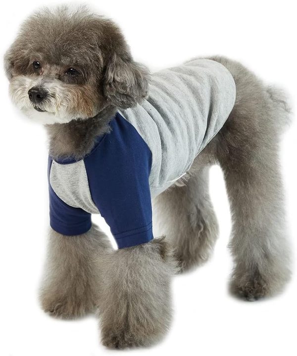 Dog Shirt for Small and Large Dogs Raglan Cotton T-Shirts Soft Breathable Dog Shirts pet Clothes Gray Series (Large, Gray/Mint)