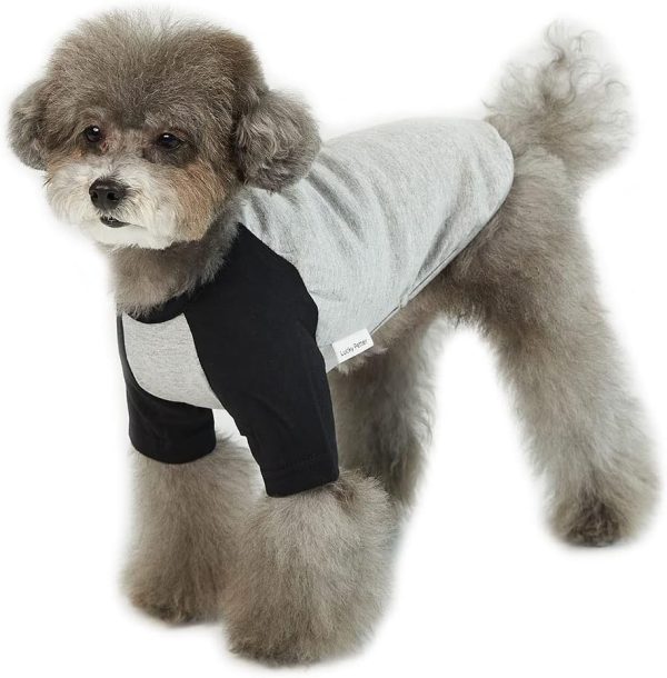 Dog Shirt for Small and Large Dogs Raglan Cotton T-Shirts Soft Breathable Dog Shirts pet Clothes Gray Series (Large, Gray/Mint)