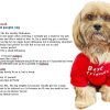 Cute Dog Clothes,Dog T Shirt for Medium Dogs.Dog Clothes for Small Dogs Girl Boy,Puppy.Breathable Soft Dog Costume for Pet Dogs Cats, Pet Pullover Jumper, Cat Clothes (L-(10~17lb), Chest~18", Khaki)
