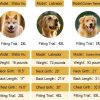 Dog Jumpsuit, Extra Large Stretch, 6XL, Yellow-Green Bar, for Medium-Sized, Adult Dogs, Surgical Recovery Dog Clothing, Polyester