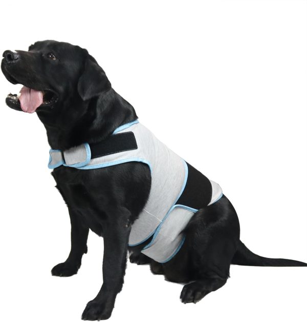 Dog Anxiety Vest, Comfort Dog Anxiety Relief Coat, Breathable Dog Calming Vest for Thunderstorm, Travel, Fireworks, Vet Visits (M,Light Grey)