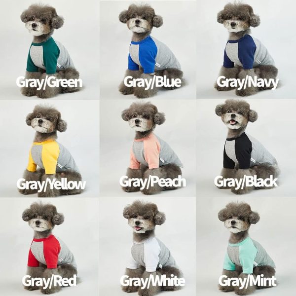Dog Shirt for Small and Large Dogs Raglan Cotton T-Shirts Soft Breathable Dog Shirts pet Clothes Gray Series (Large, Gray/Mint)