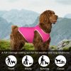 2 Pack Quick Dry Dog Shirt, Lightweight Mesh Breathable Dog Clothes for Small Dogs Girl,Sun-Protection Sleeveless Shirts for Dog&Cat Puppy Vest Pet Apparel