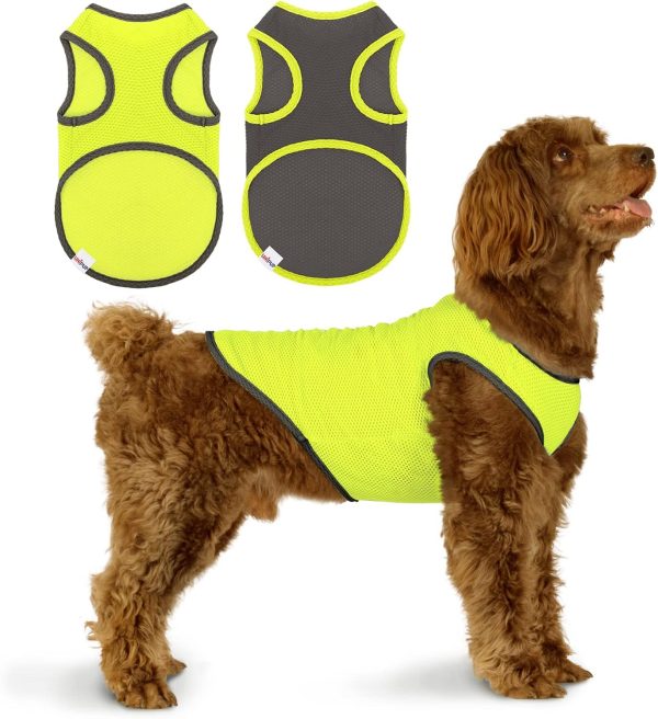 2 Pack Quick Dry Dog Shirt, Lightweight Mesh Breathable Dog Clothes for Small Dogs Girl,Sun-Protection Sleeveless Shirts for Dog&Cat Puppy Vest Pet Apparel