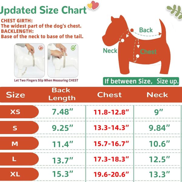 7184vMl-VPL._AC_SL1500 Dog Pink T-Shirts Vest for Girls,Lightweight Stretchy Dog Tee Shirt Breathable Soft Cool Vests,Clothes for Puppy Kitty Cats Small Medium Dogs(Pink,Small)