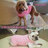 71DVlELMuxL._AC_SL1500 Dog Shirt,Combed Cotton T-Shirts,Soft Cool Boy Girl Tee for Extra Large Dogs Labrador,Pink Rose Striped XXXL