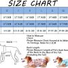 Dog Summer Cooling Shirts,Sun Protection Quick Dry Mesh Breathable Large UV Protection Tee-Shirt,Red+Blue L