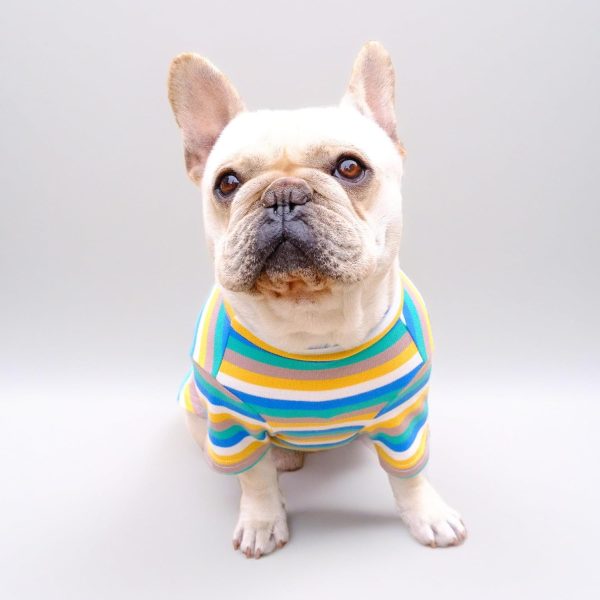Small Dog Shirts for Small Dogs, Stretchy Dog Summer Clothes French Bulldogs Clothes, Striped Designer Dog Clothes Shirts for Dogs Cats, Puppy Shirts for Small Dogs Boy Girls (M)