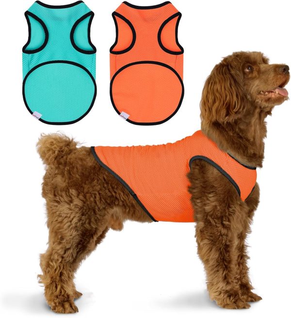 2 Pack Quick Dry Dog Shirt, Lightweight Mesh Breathable Dog Clothes for Small Dogs Girl,Sun-Protection Sleeveless Shirts for Dog&Cat Puppy Vest Pet Apparel