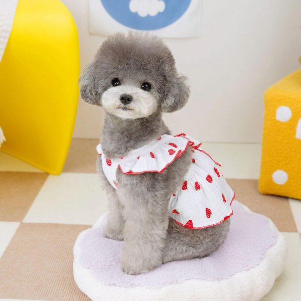 Dog Dresses for Small Dogs Girl Female Dog Clothes Cat Clothes Cat Dress Cute Cotton Extra Small Summer Clothes Bow Decor Printed Strawberry Dog Birthday Outfit Small Puppy Clothes White XL