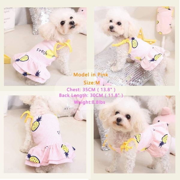 2 Pack Dog Shirt Skirt Striped Printed T Shirts Cotton Vest Pleated Dress Puppy Clothes Summer Shirts Cute Girl Boy Tops Soft Pet Apparel for Small Medium Dogs Cats Outfits Costume(M)