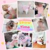 Small Dog Harness Dress Pink Cute Rainbow Tutu Dresses for Dogs Princess Summer Puppy Dog Dress for Small Dogs Girl Cat Dresses Clothes for Cats Only Shih Tzu Chihuahua Dog Clothes, Small
